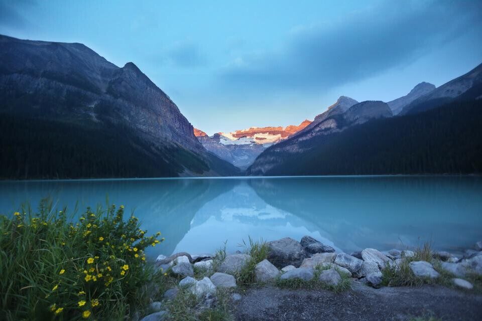 A mountain lake at the edge of a meadow