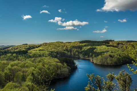 A river winding through green hills