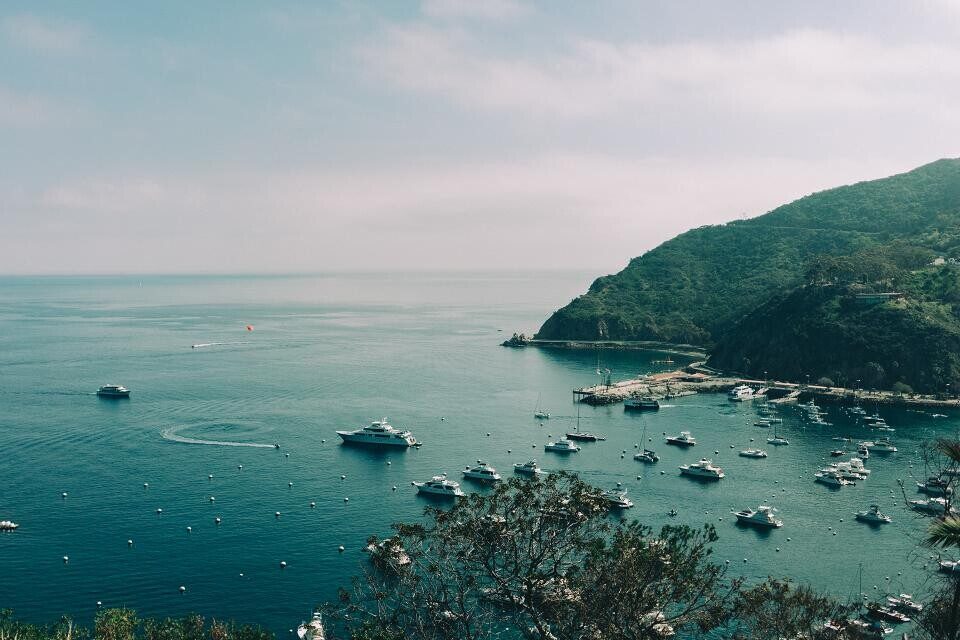 Boats anchored in a green coastal bay