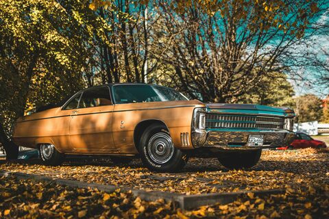 A gold classic sedan parked under autumn trees