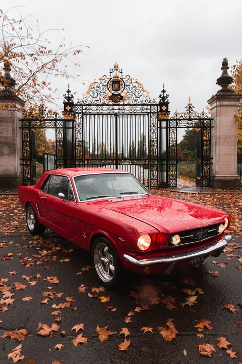 A red classic Ford Mustang in front of an iron gate