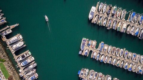 Rows of boats in a marina seen from above