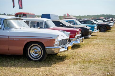 A row of classic cars lined up on grass